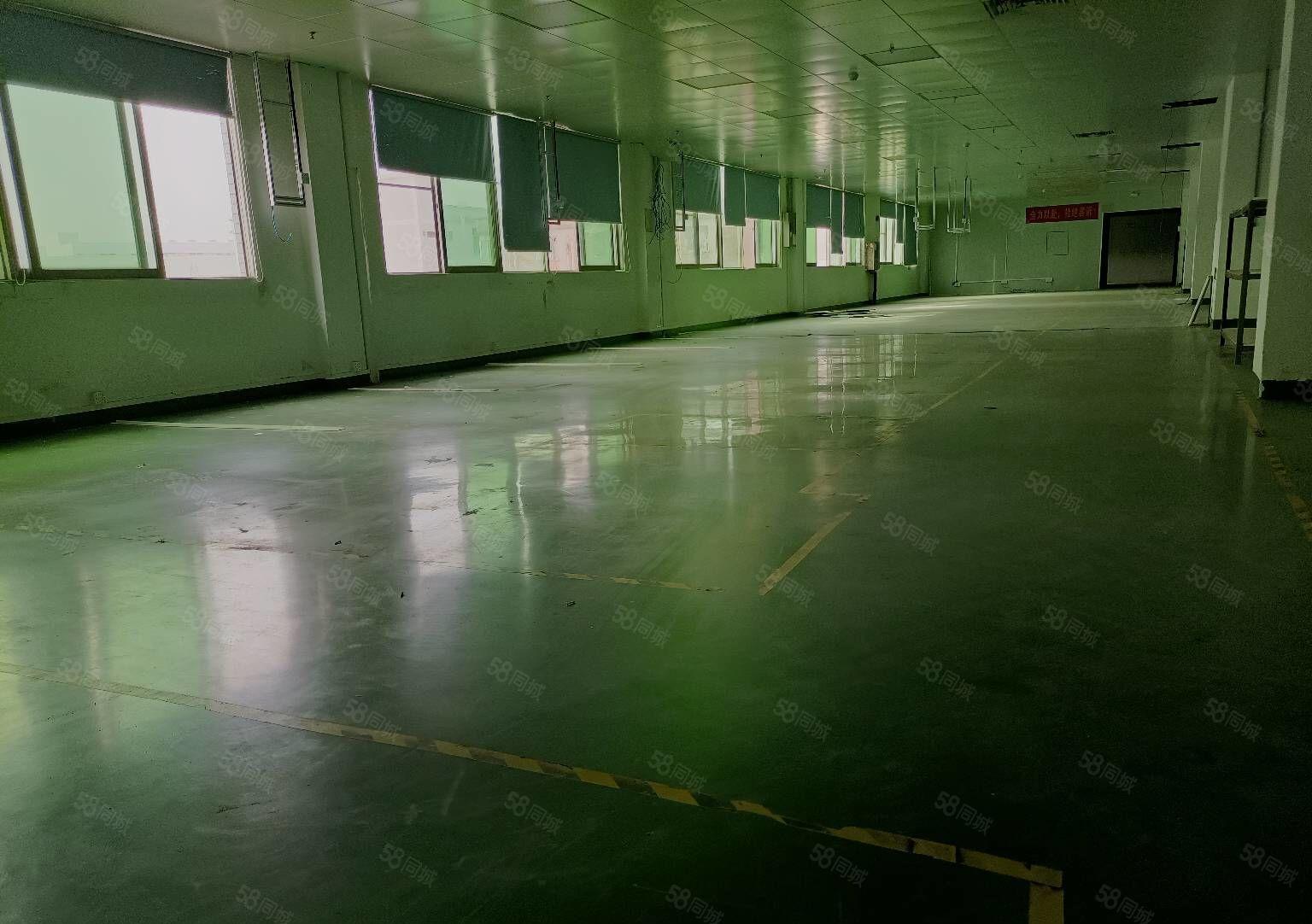 东城新出独门独院厂房仓库8500平，现成办公室，水电齐全