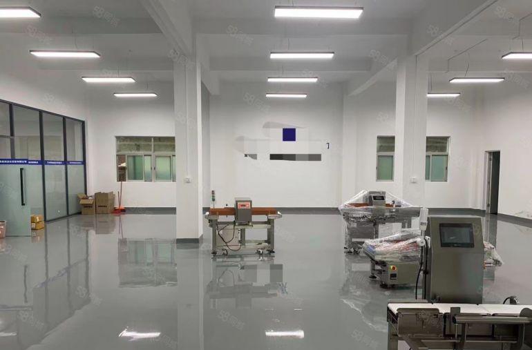 东莞东城厂房出租1楼500平方，全新装修，水电齐全，工业用地