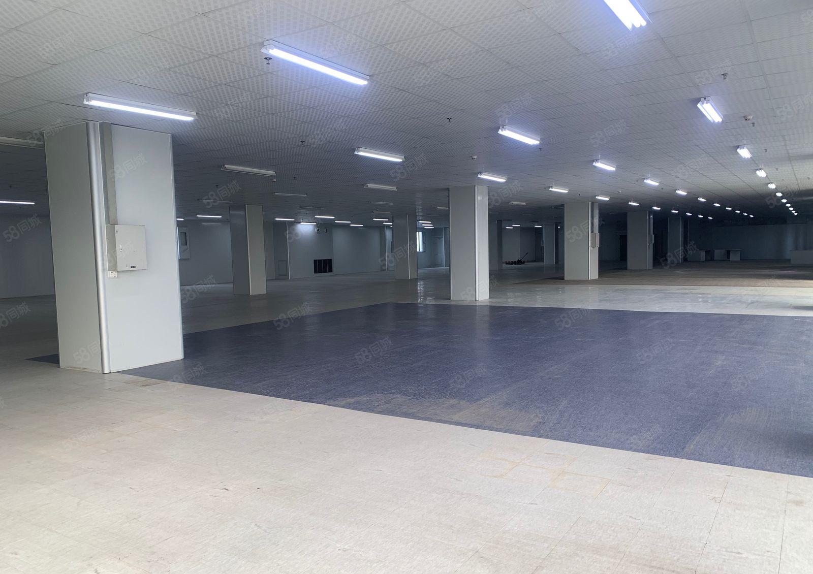 东城街道同沙工业区原户东厂房出租