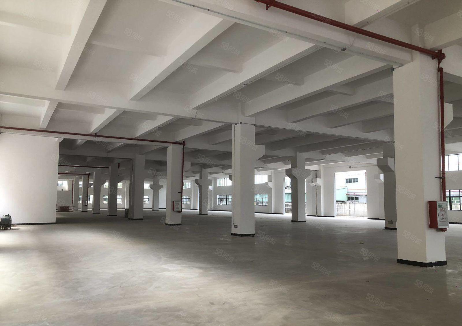 原房东全新独院5层19500宿舍2500 现房招租可分租