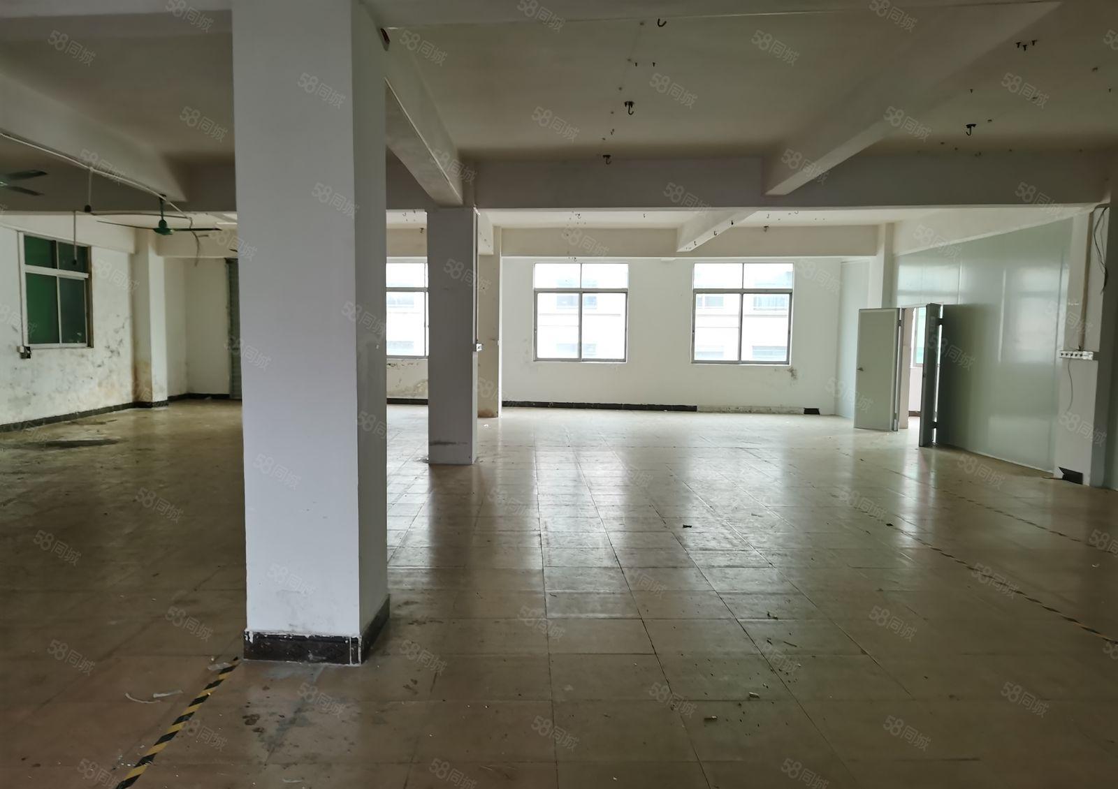 温塘新出三楼厂房600平方现成办公室