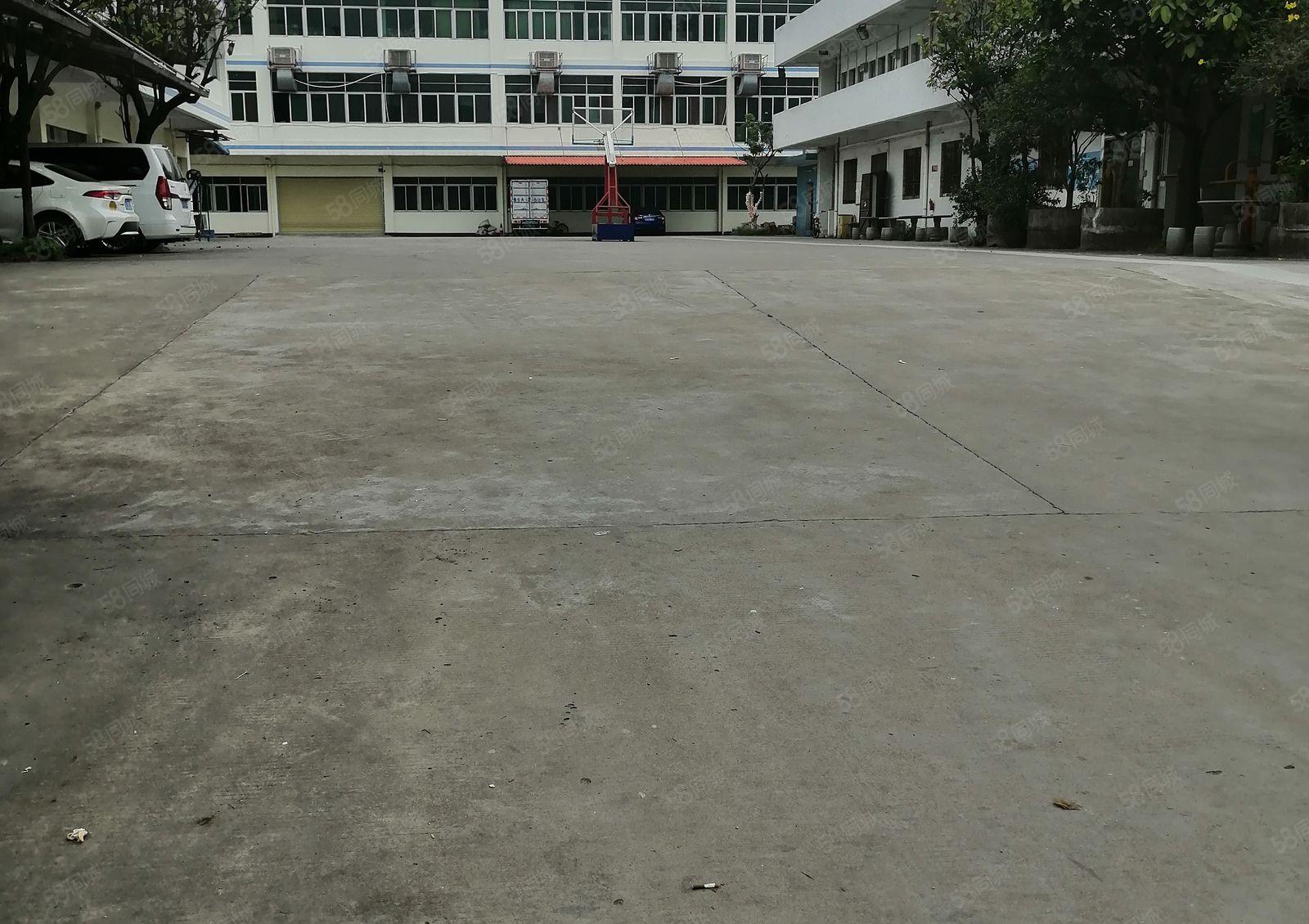 桑园独门独院厂房出租，总面积1600平，大小分租