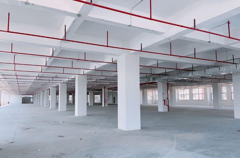 二楼带牛角7米高实力新厂房房东直租，承重2.5吨重工业厂房