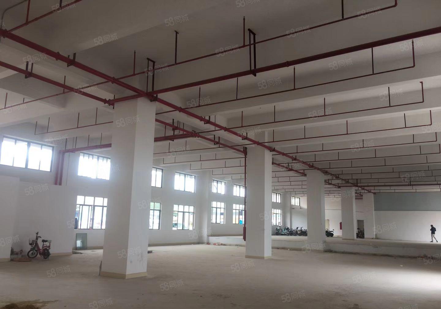 桑园独门独院厂房出租，总面积1600平，大小分租