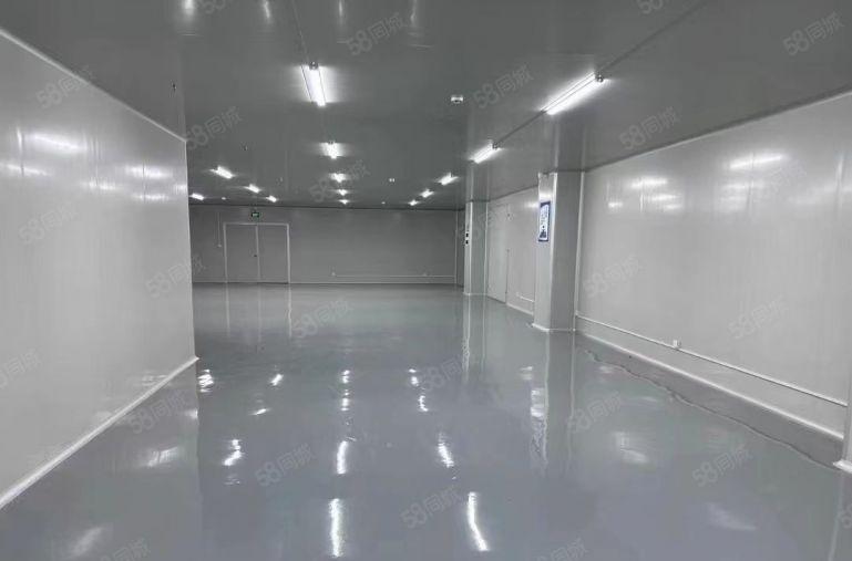 东莞东城原房东厂房出租 无尘车间 独门独院 行车 家具厂房