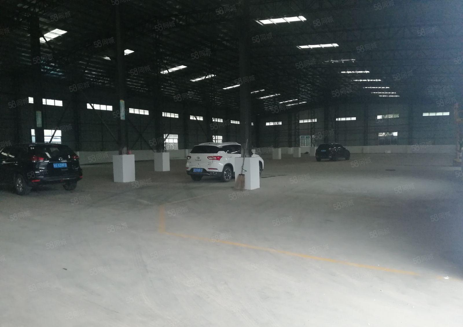 1000平钢结构厂房出租，温塘竹园附近