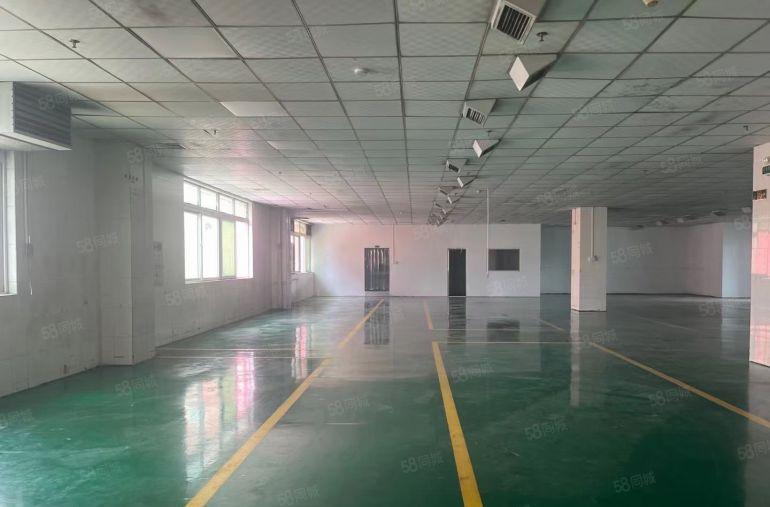 现成精装修水电到车间招工交通方便厂房出租仓库出租