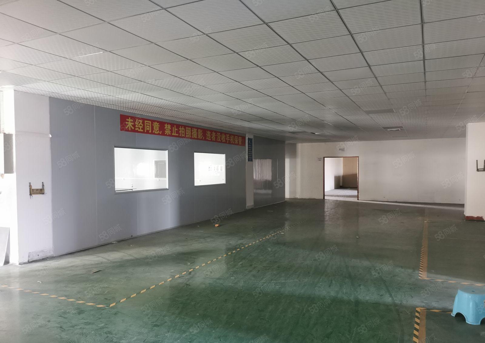 植物园附近现成电子车间1400平，千级无尘车间。