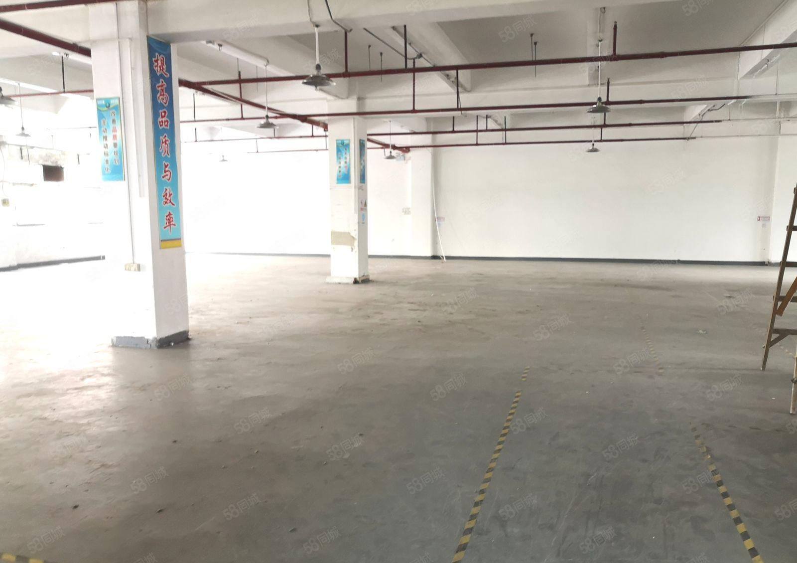 东莞城区周边温塘砖窑工业园区标准厂房900平现成办公室地坪漆