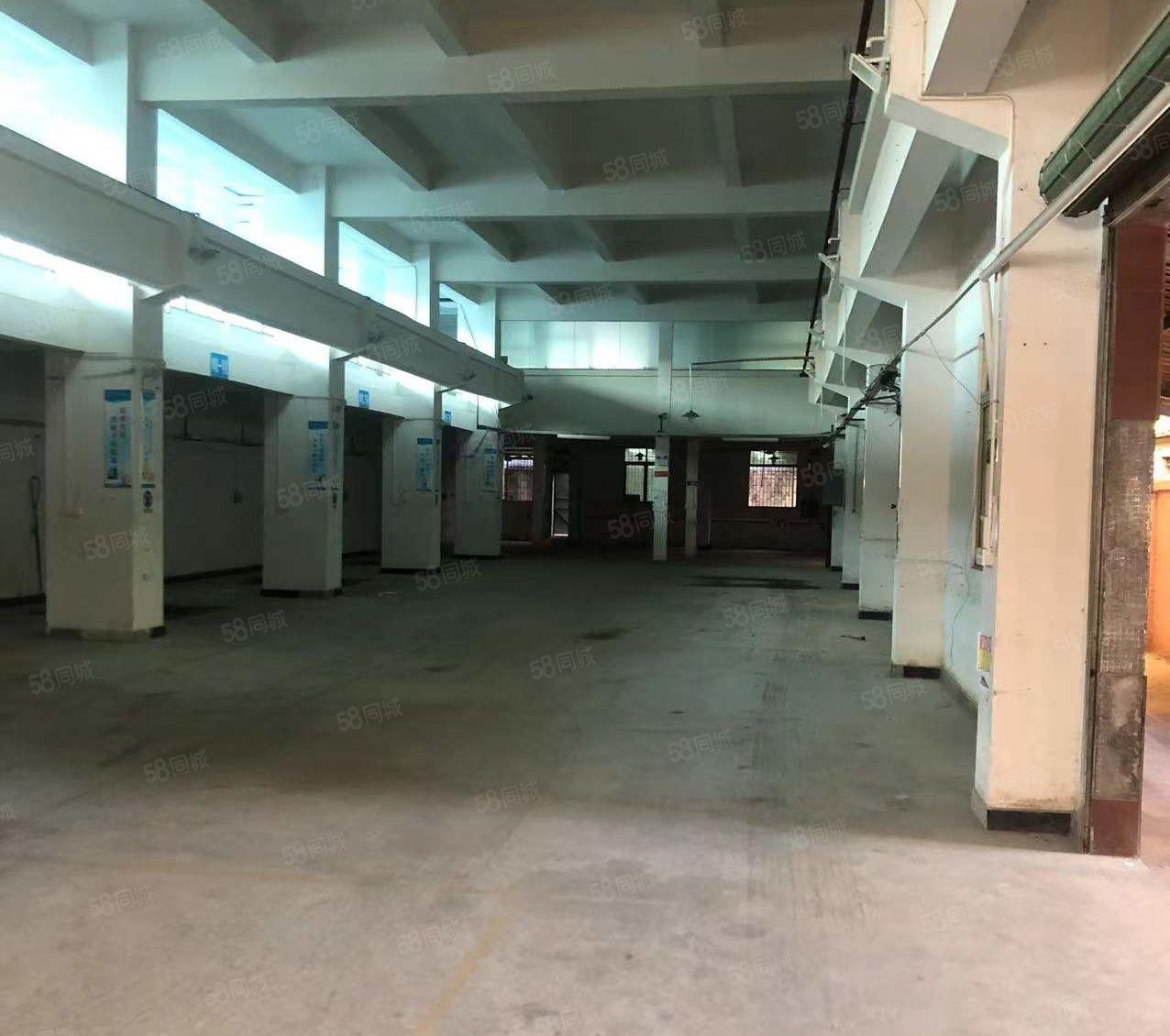 原房东！无公摊！东莞东城原房东独门独院厂房出租，形象好