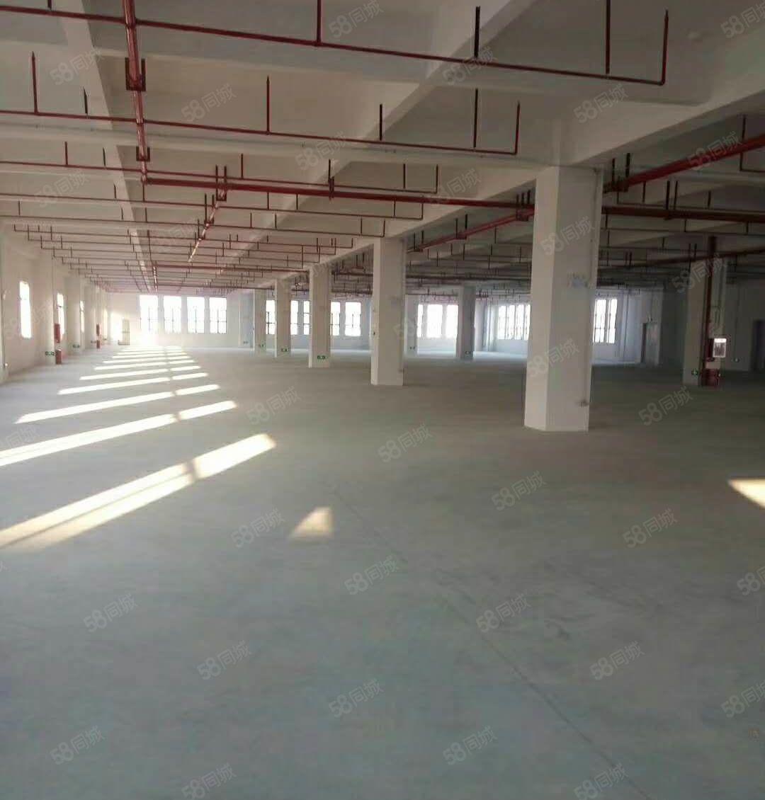 牛山 花园式 厂房出租，10000平大小可分!便宜，带环评！