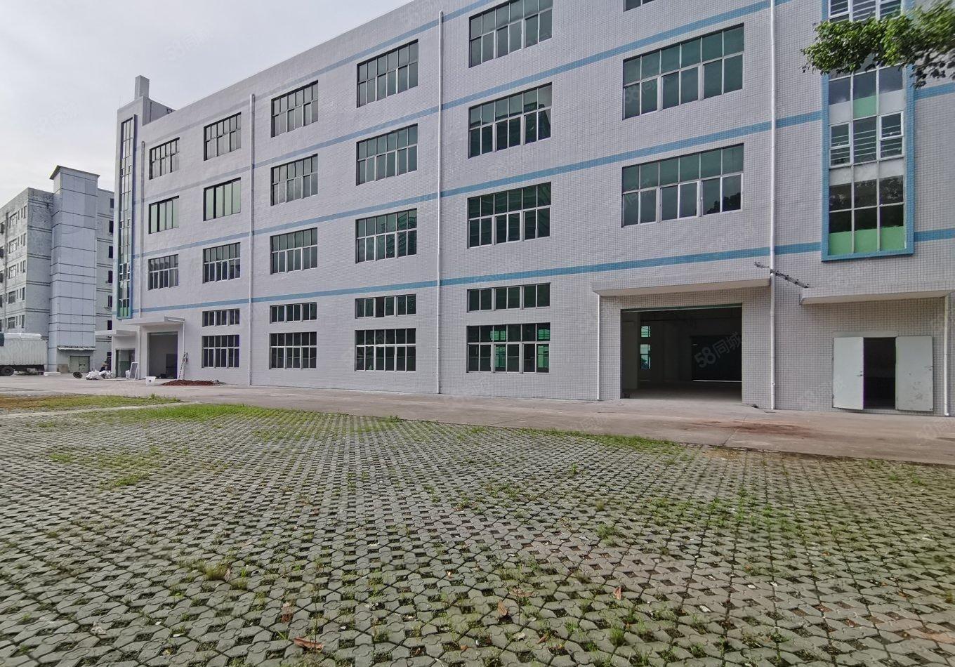 中山坦洲第三工业区8000平红本厂房出租1000平起租