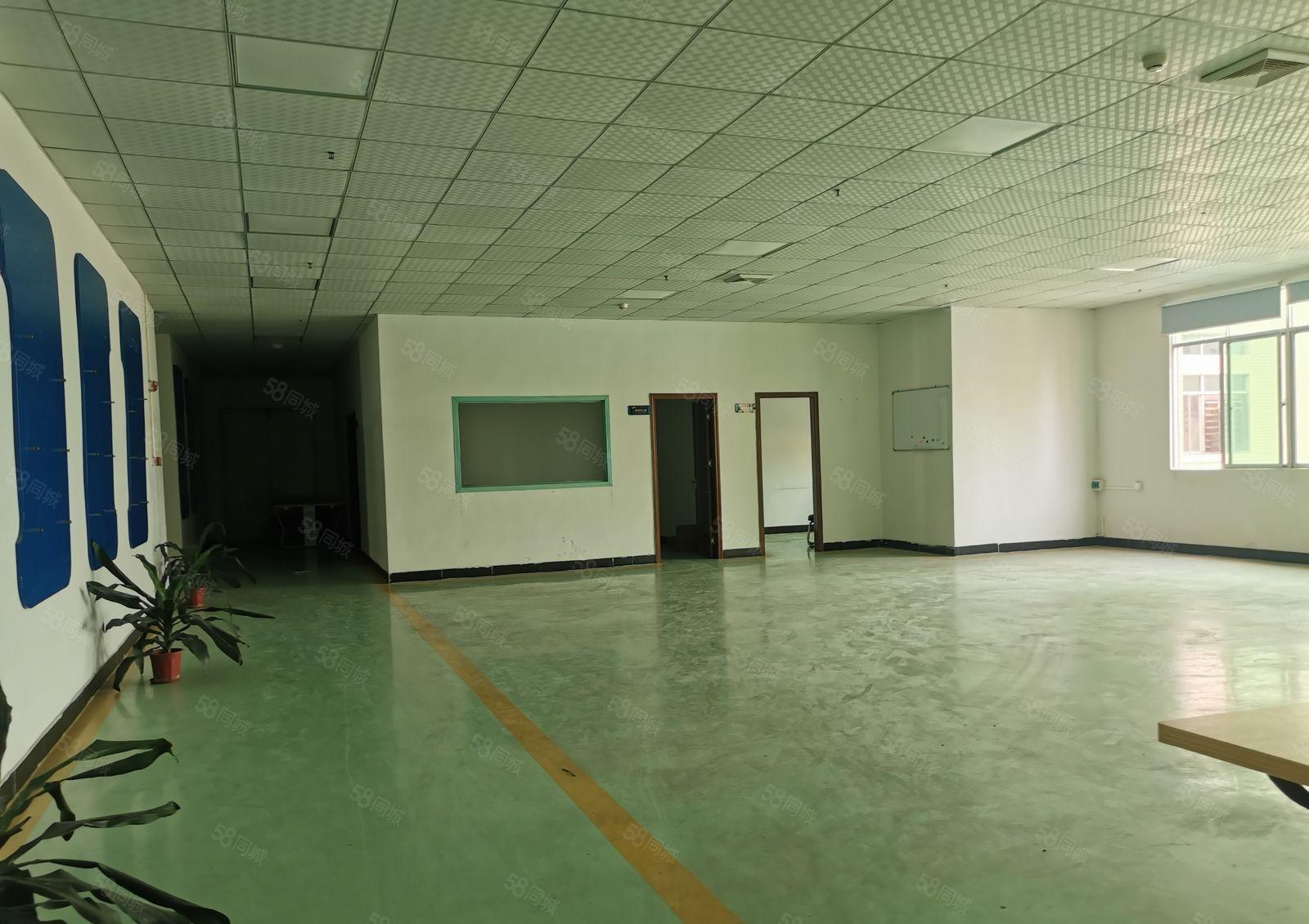 精装修！东城温塘标准厂房楼上900平，适合做外贸，电子等行业