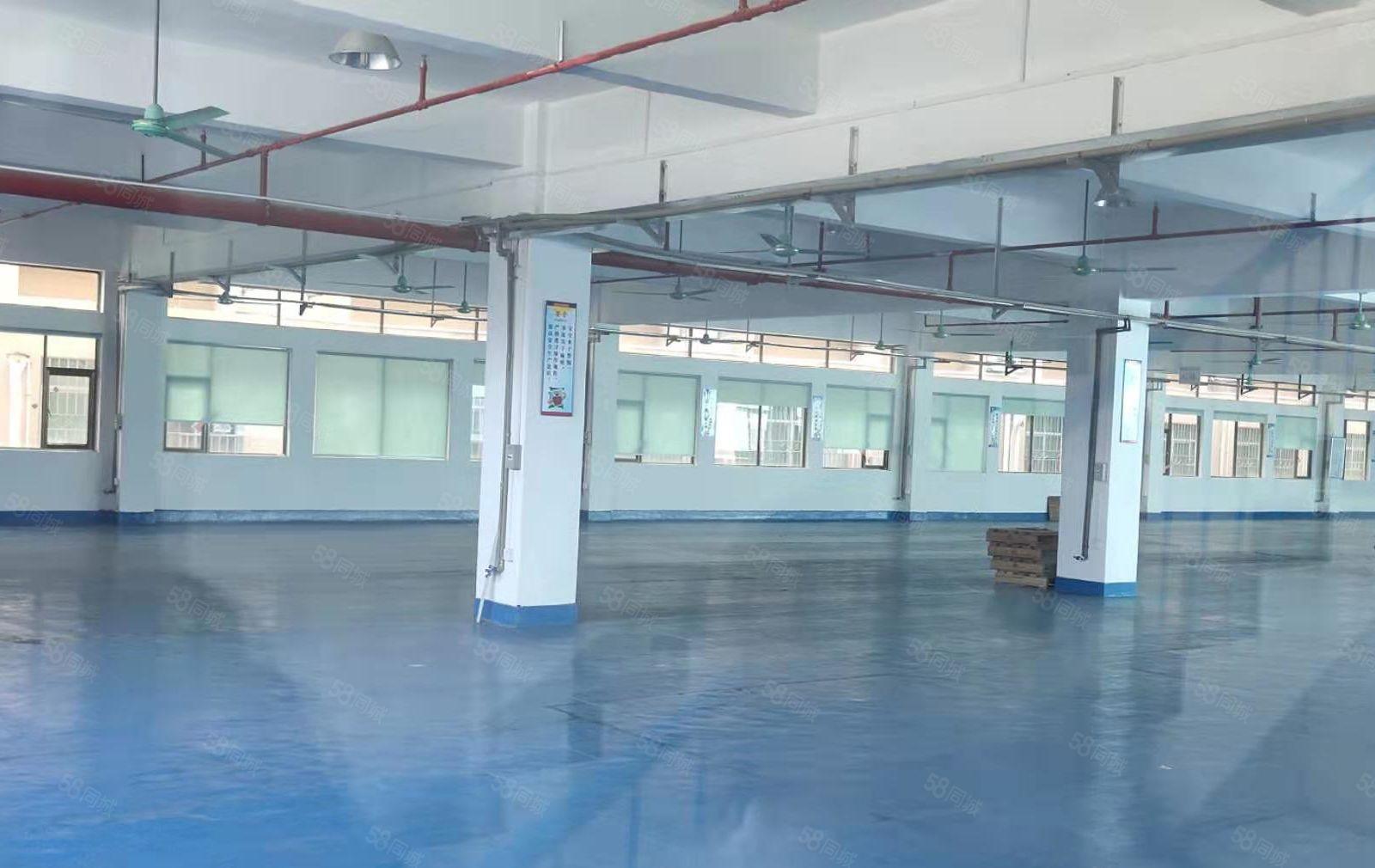 东城 温塘 全新厂房 共5000平方，10元急租