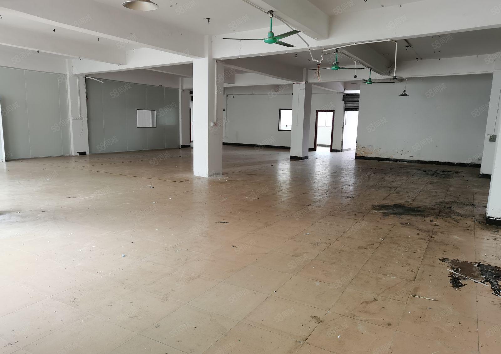 温塘新出三楼厂房600平方现成办公室