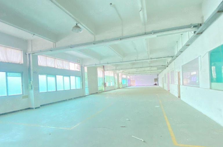 东城新出原房东独院5000平带红本带卸货平台超大空地低价出租