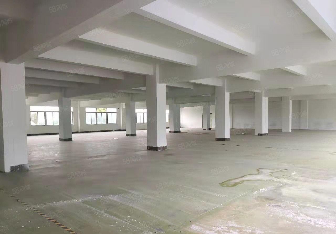 东城牛山4700方厂房分租大园区工业用地可办环评国道边