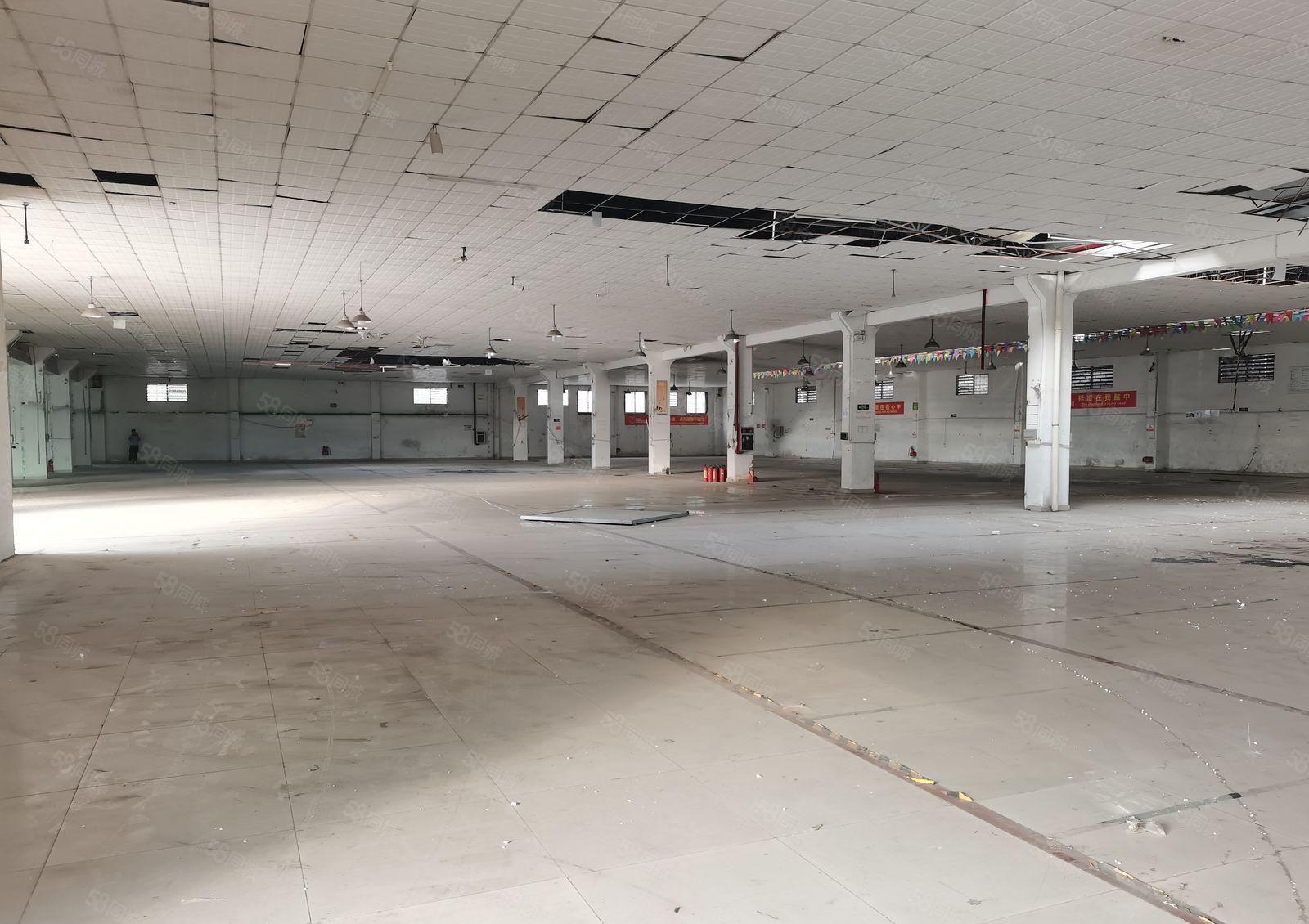 东城单一层独门独院工业厂房6300平方现成装修