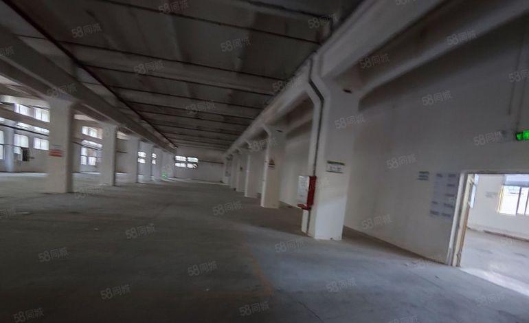 东莞东城原房东厂房出租 可分租 独门独院标准 仓库出租