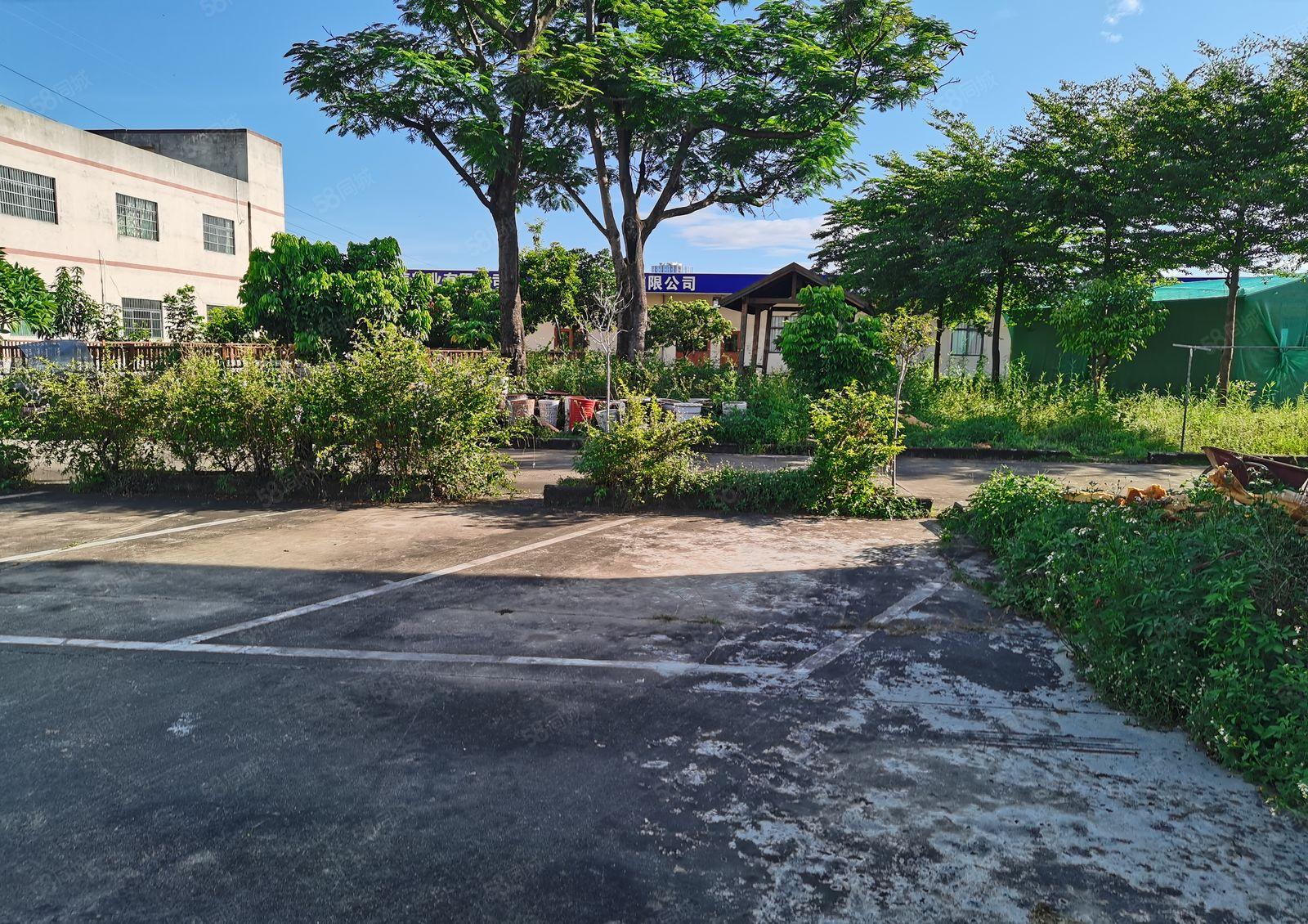 东城新出花园式独门独院厂房总面积4500平方