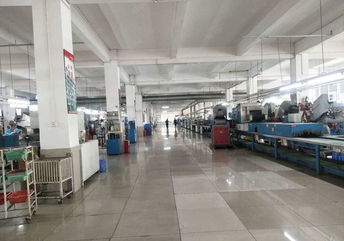 牛山 一楼 1500平 二楼 1500平，精装修，可分租