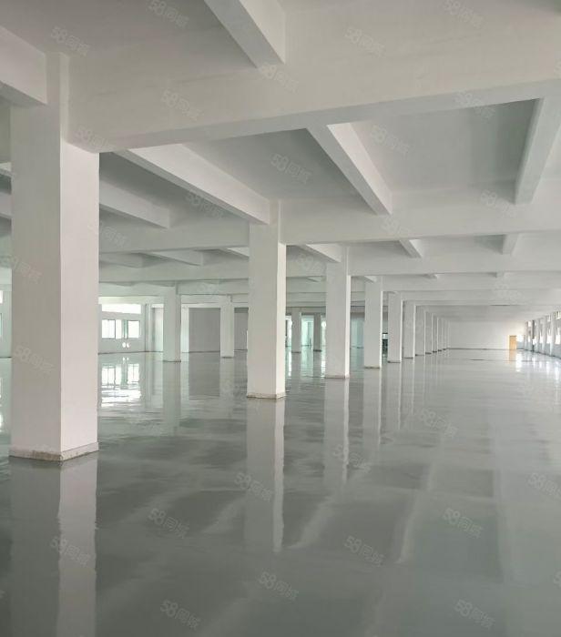 东城新出形象超好独门独院厂房出租两万平，300平起分，地段好