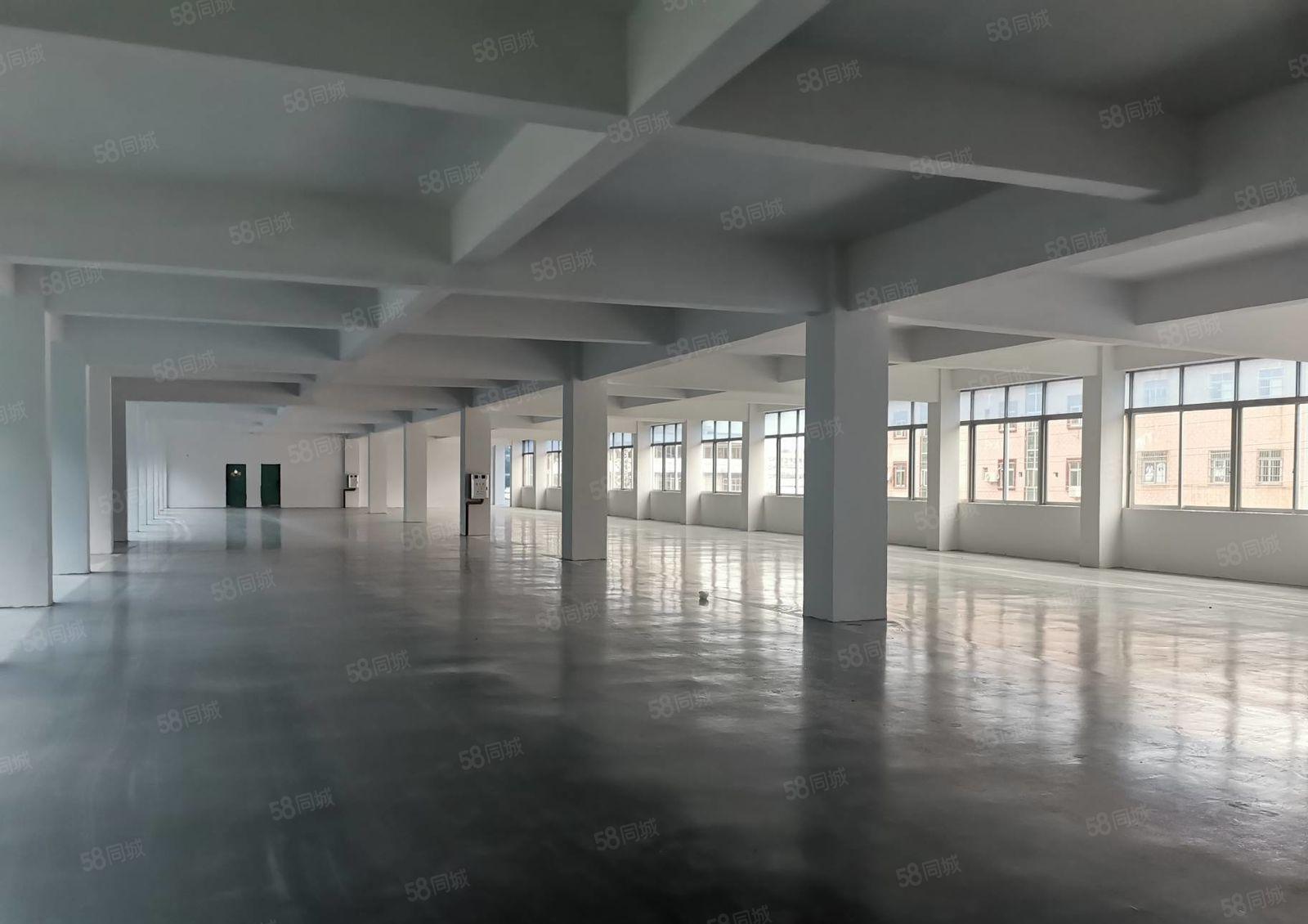 独院红本厂房招租，空地超大，周边配套齐全