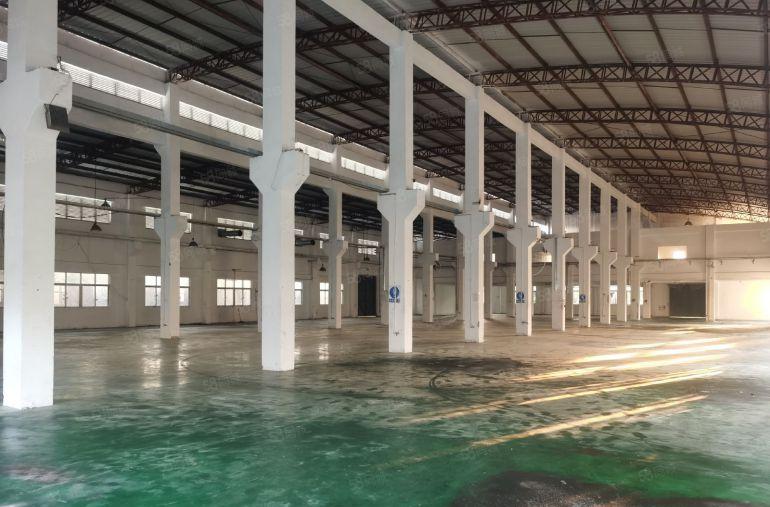 厂房单一层9米高，独门独院。空地超大，有现成的牛角。可装行车