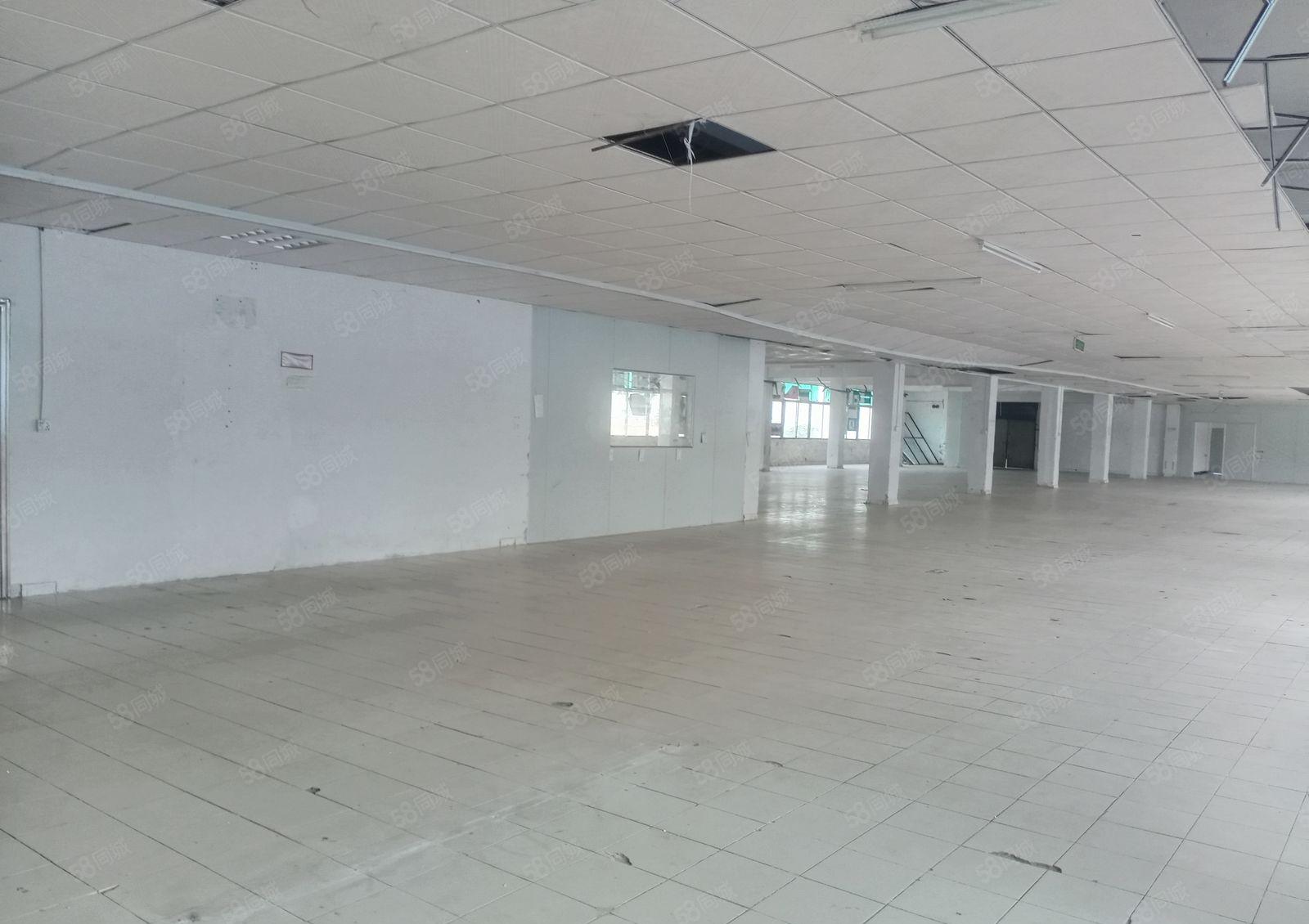 厂房出租|周屋原房东独院低价出租可分200平600平1000