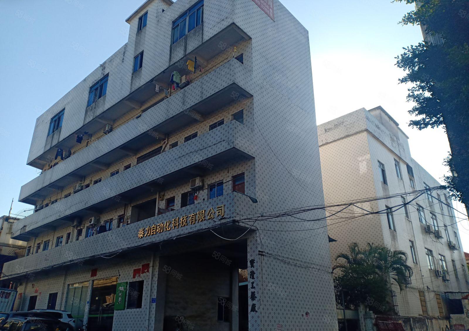 东城大井头900厂房出租