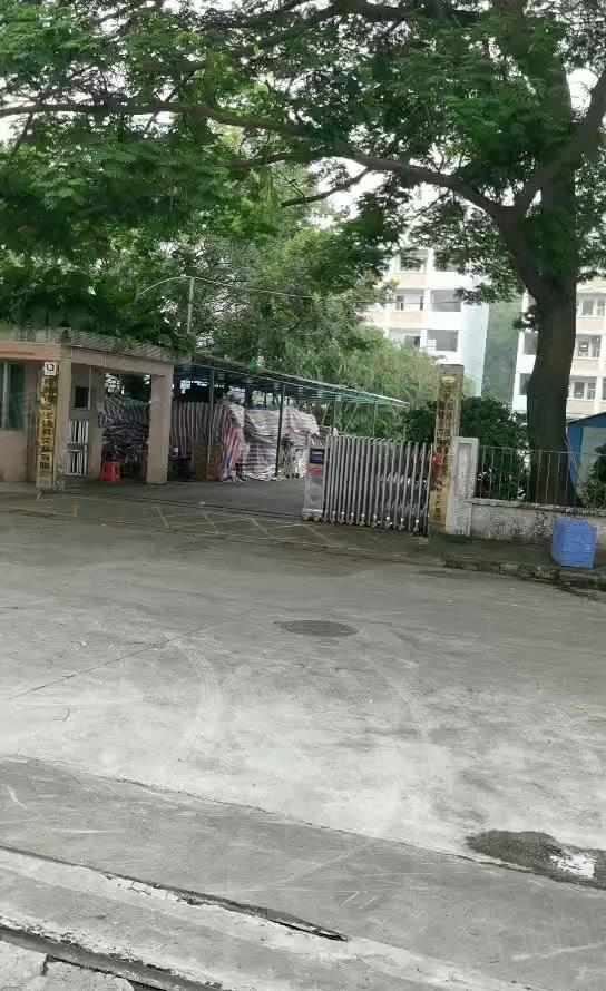 东城樟村工业区推出一楼厂房出租1540平方现有的环评价格可谈