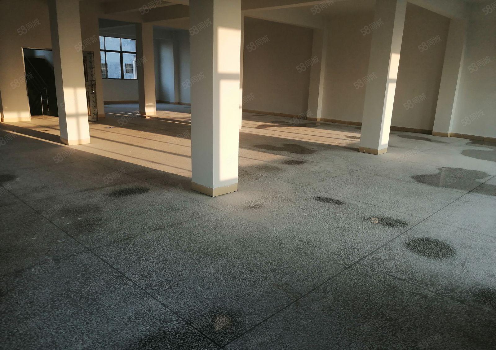 温塘附近厂房急租，每层580平，价格实惠，两吨电梯