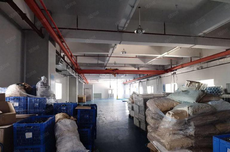 东城镇小面积厂房出租200~15000平方，水电齐全无尘车间