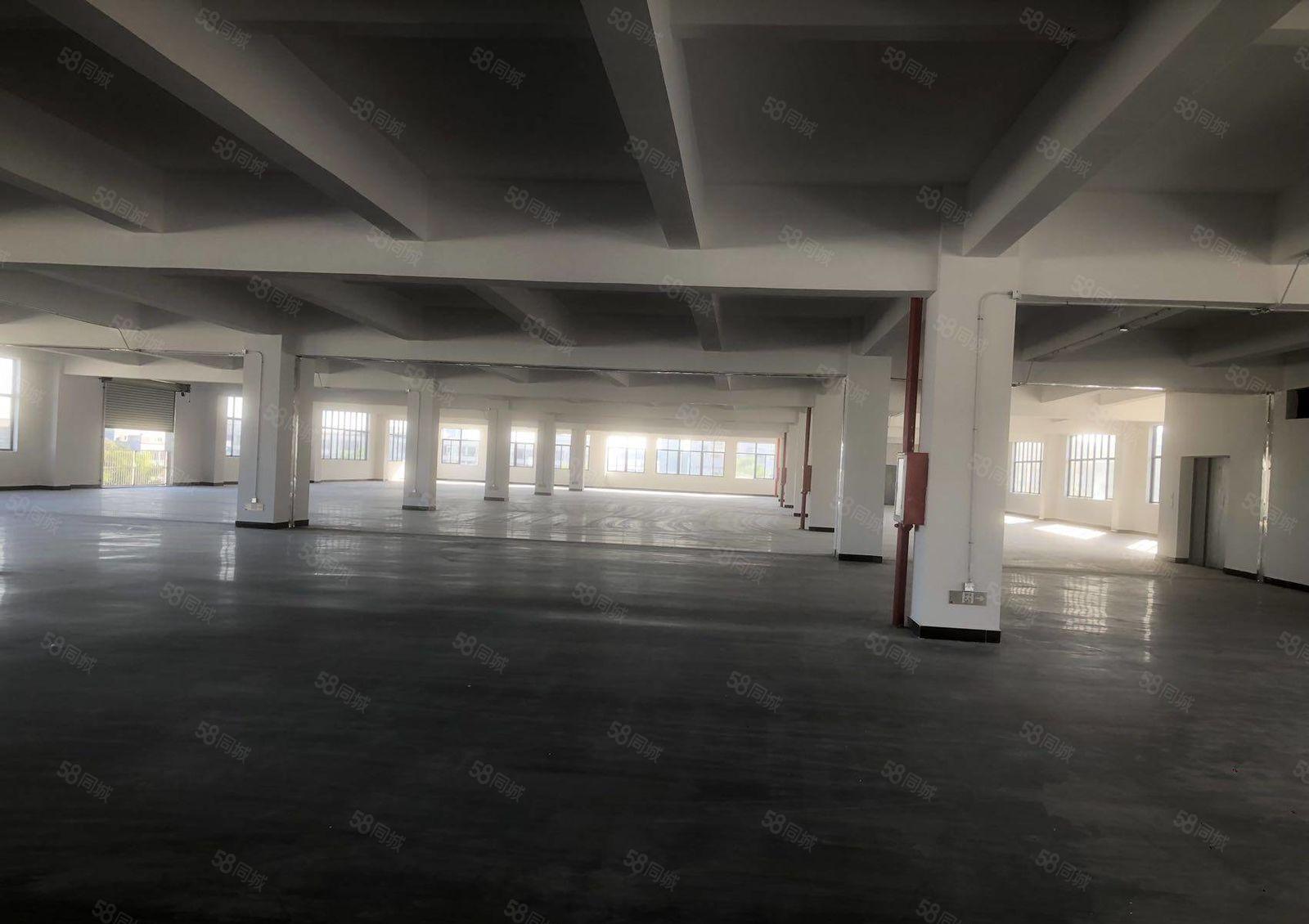 原房东全新独院5层19500宿舍2500 现房招租可分租