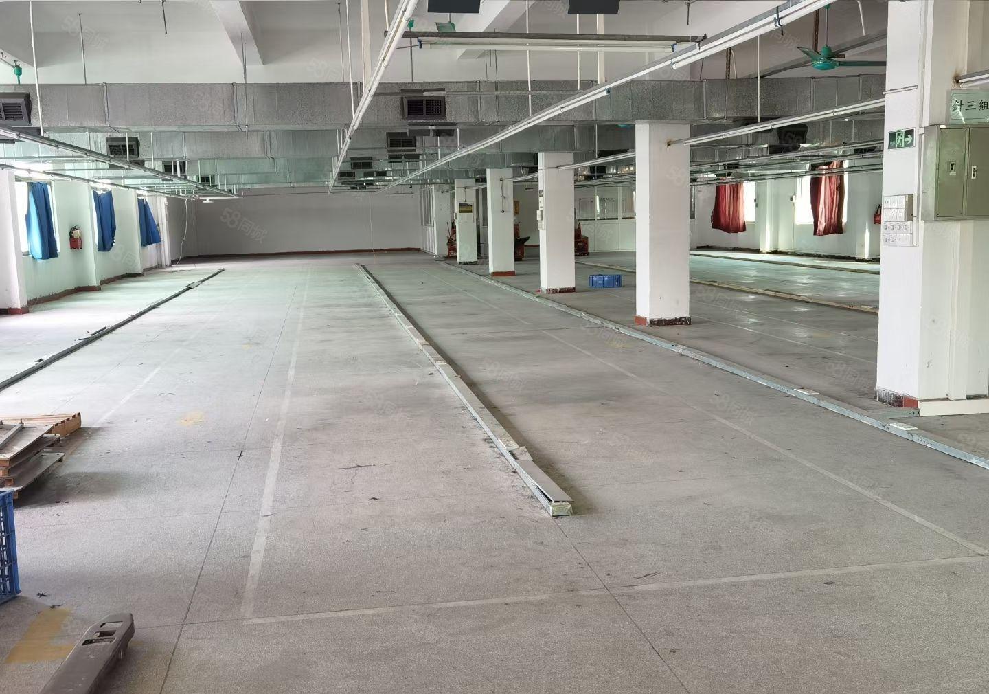 桑园独门独院厂房出租，总面积1600平，大小分租