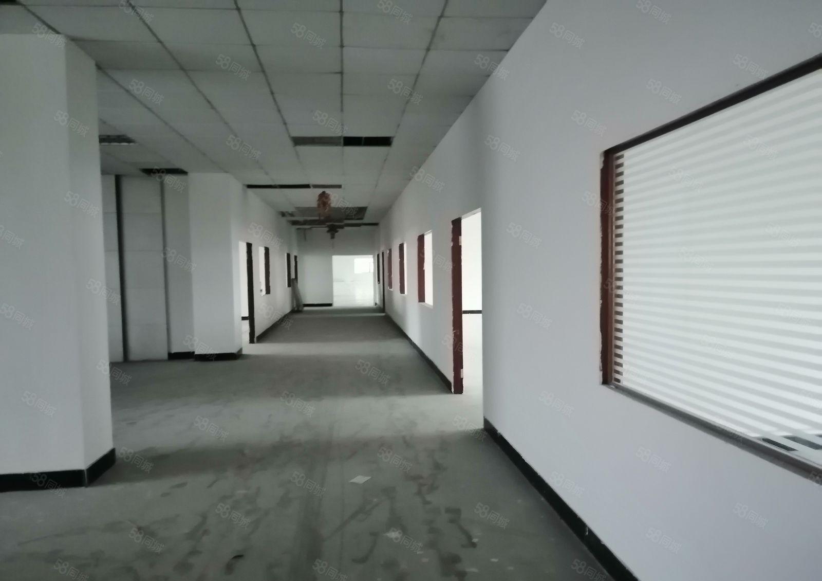 温塘独院花园式厂房出租，单层面积1000平，大小可以分租