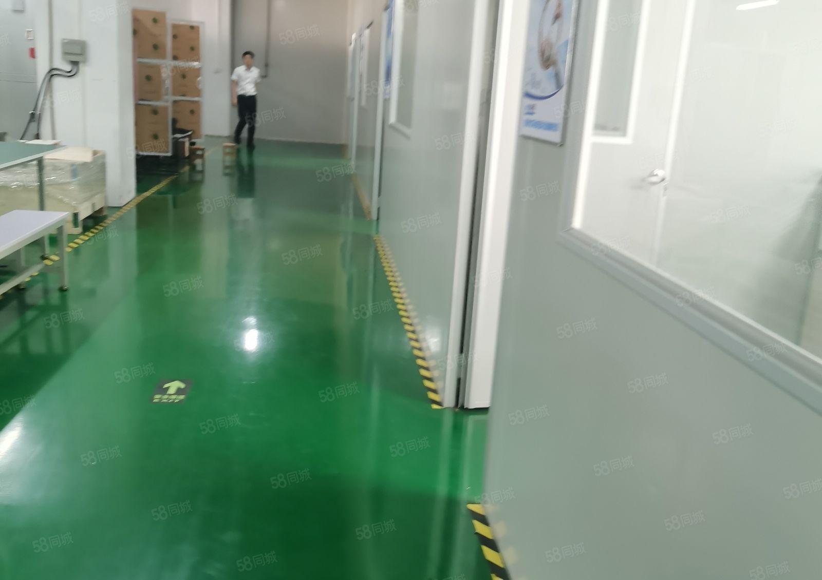 东城牛山外径工业园10000平厂房，可分租，带现成地坪漆！