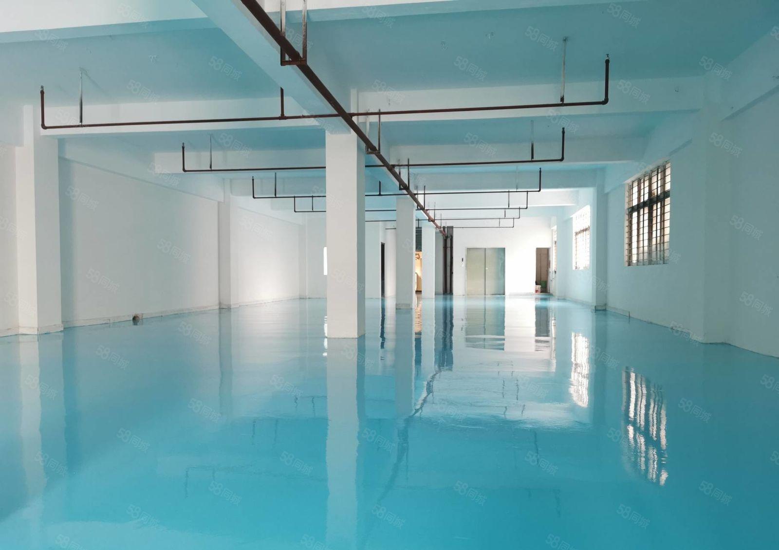 东城温塘自建厂房500方层一楼6米高，全新装修。