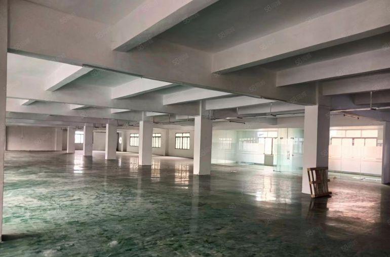 东莞东城桑园工业聚集地新出标准厂房500平 厂房出租现城装修