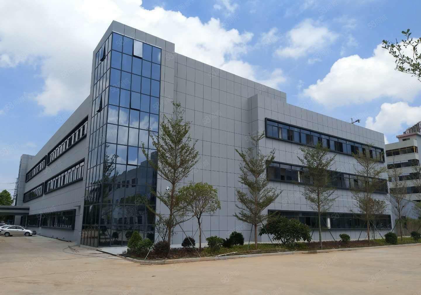 牛山 花园式 厂房出租，10000平大小可分!便宜，带环评！