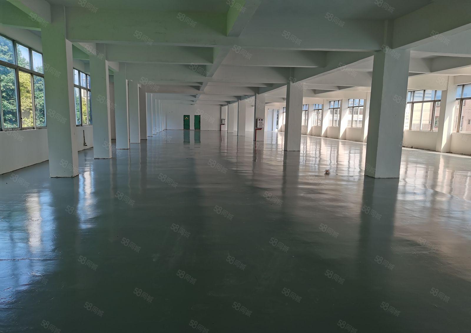 东城周屋新空出三楼2600平方现成全新地坪漆