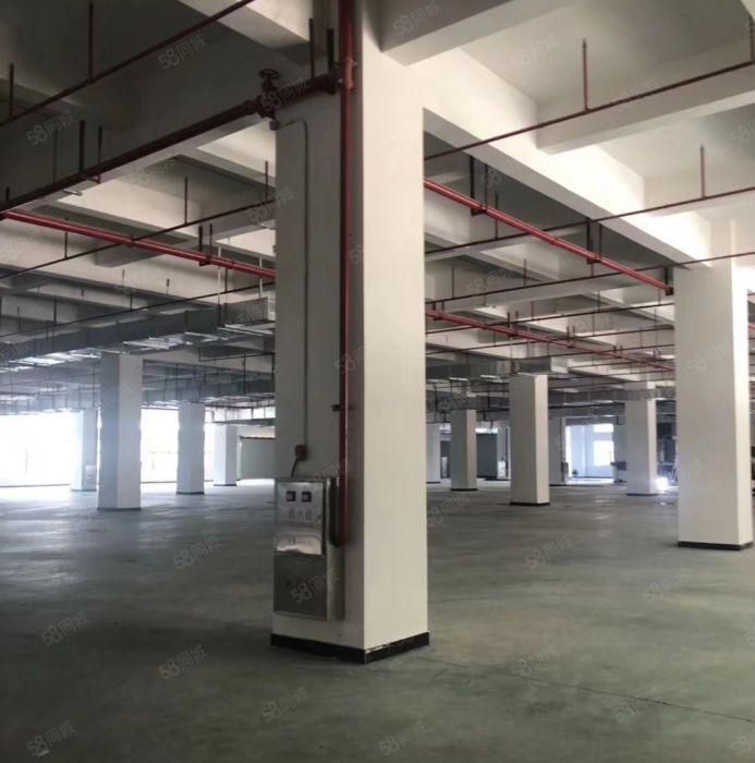 东城 温塘 全新厂房 共5000平方，10元急租