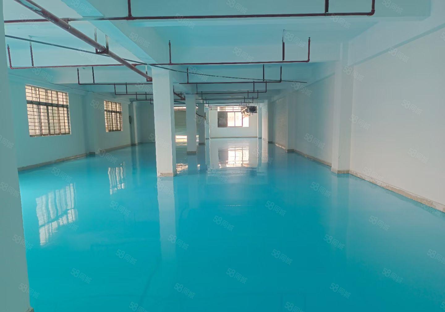 东城温塘自建厂房500方层一楼6米高，全新装修。