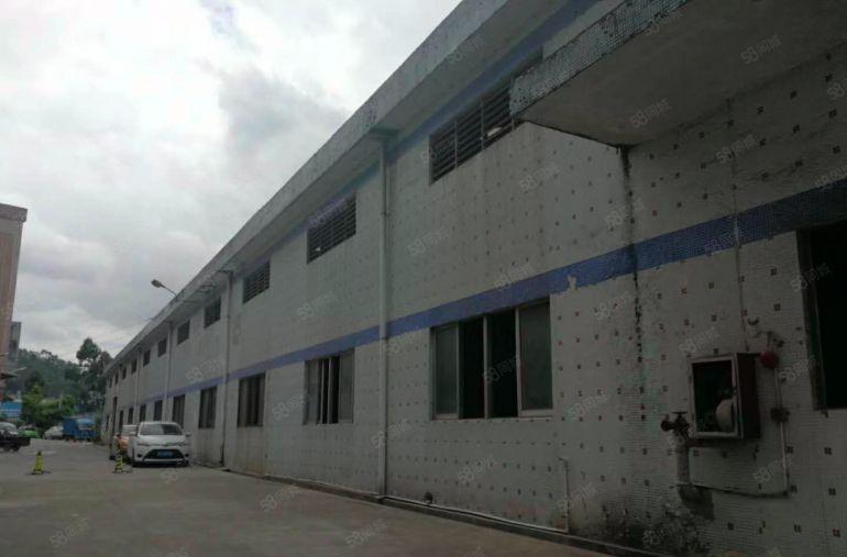 东城温塘茶下工业园单一层铁皮房750平，现成水电