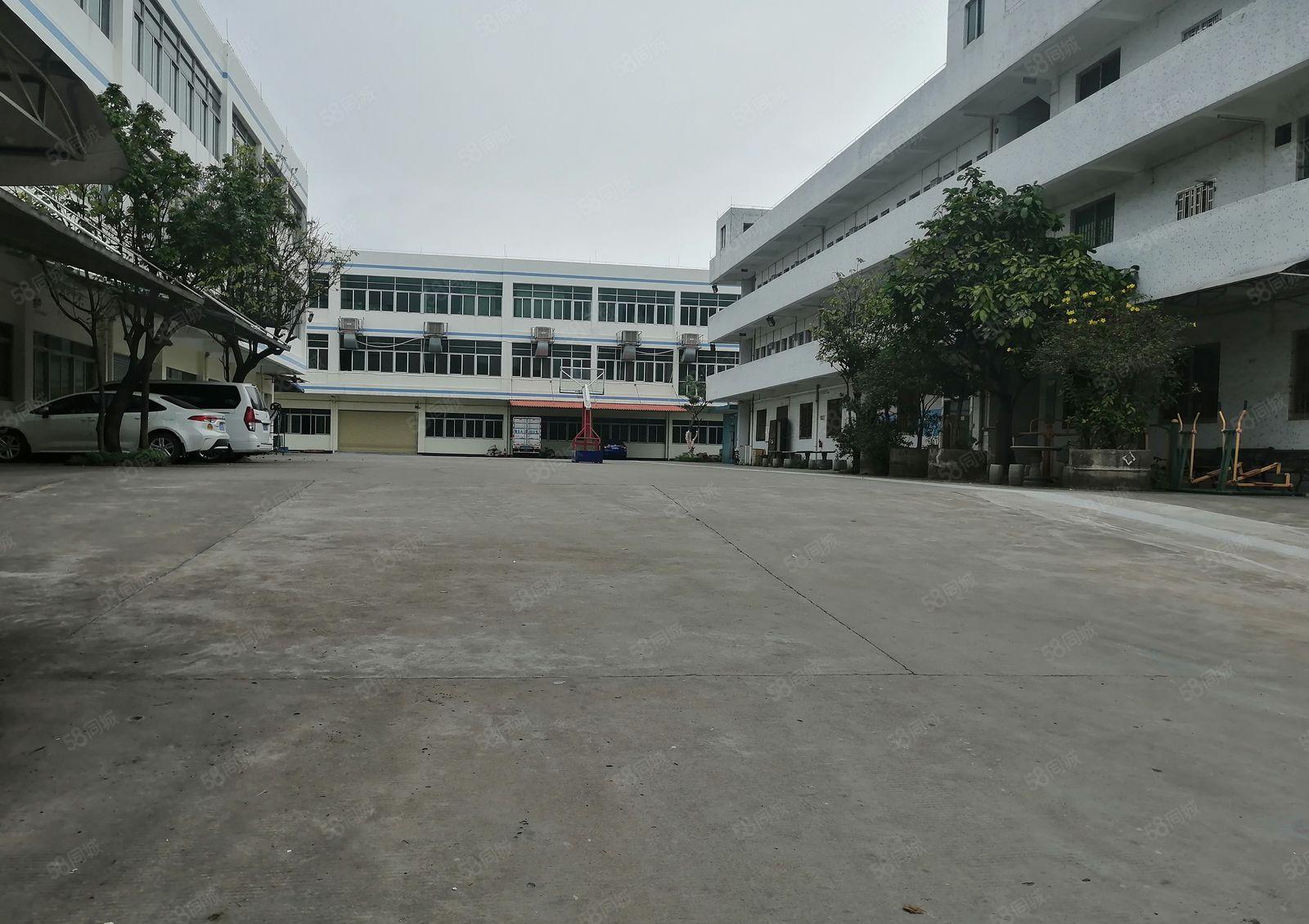 桑园独门独院厂房出租，总面积1600平，大小分租