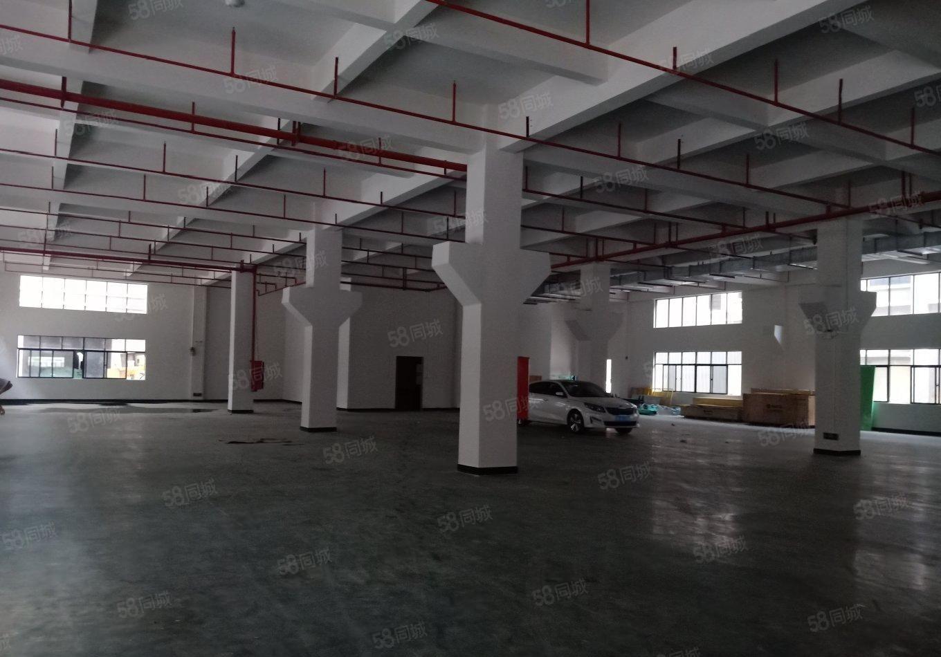 中山坦洲第三工业区8000平红本厂房出租1000平起租