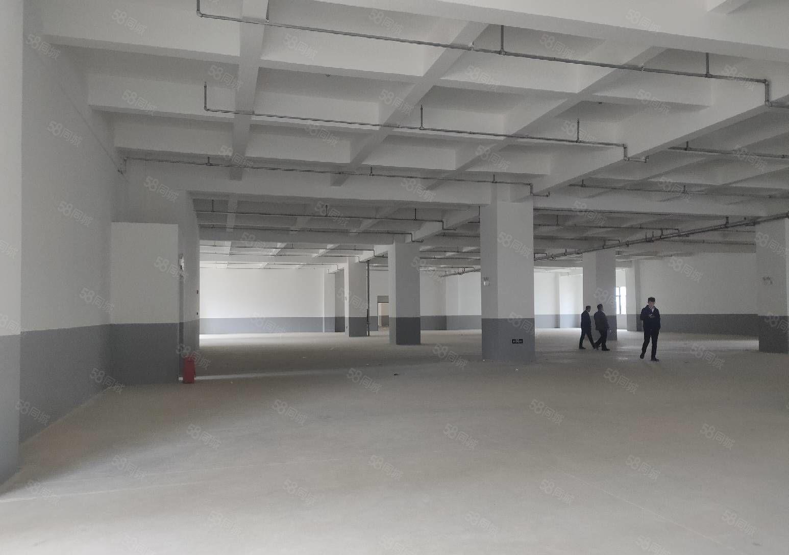 东城下桥原房东厂房6000平方起分500平方厂房出租或转让