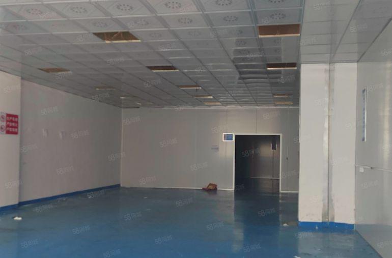 周屋厂房600到1200平方  主电线到车间    有装修