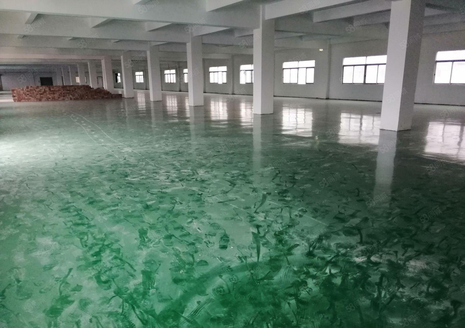 温塘独院花园式厂房出租，单层面积1000平，大小可以分租