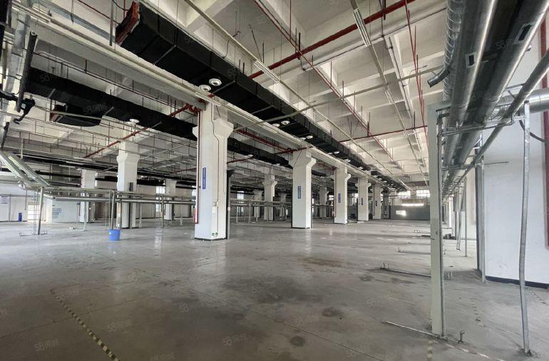 全新现代化厂房出租，首层9.2米高，租金楼上价